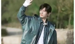 关于成毅的爆料视频,爆料视频背后的真实故事